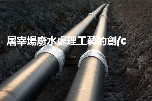 屠宰場廢水處理工藝的創(chuàng)新與以后？
